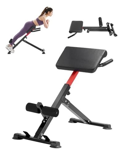 VEVOR VEVOR Roman Chair Hyperextension Bench (250 lb, foldable)
