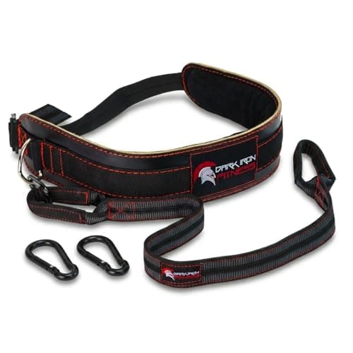 Dark Iron Fitness Dark Iron Fitness Padded Leather Dip Belt (40-Inch Strap)
