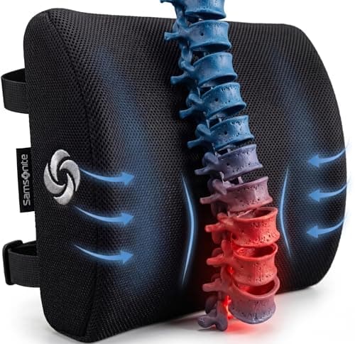 Samsonite — Samsonite Lumbar Support Pillow